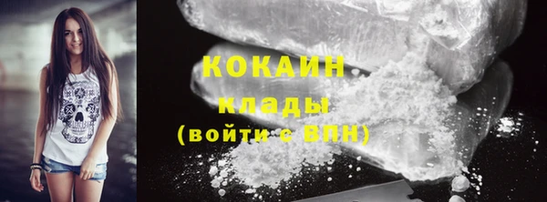 крисы Новокубанск