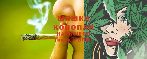 гашик Новодвинск
