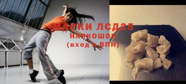 крисы Новокубанск