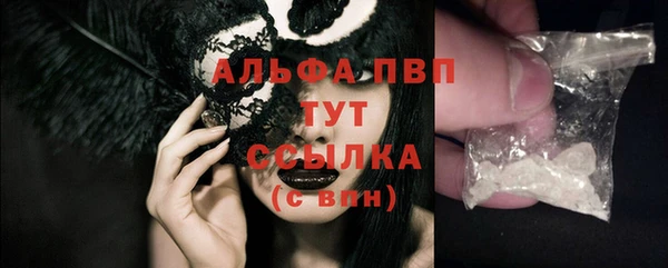 гашик Новодвинск