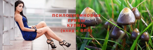 ECSTASY Новозыбков
