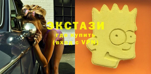 гашик Новодвинск