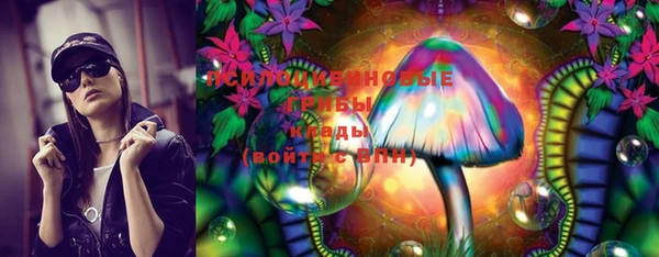 ECSTASY Новозыбков