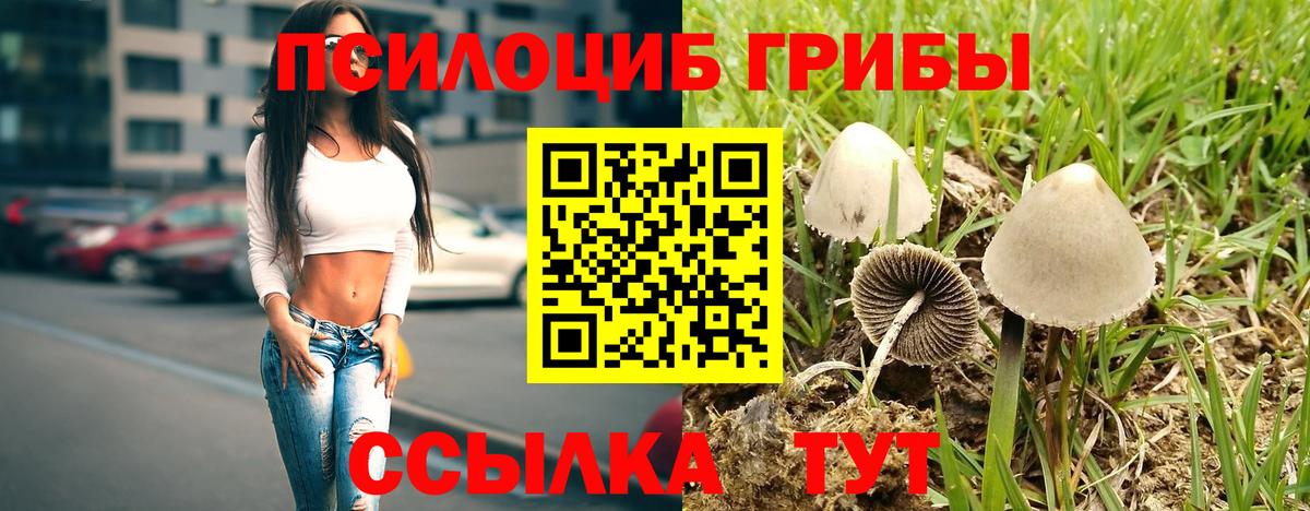Галлюциногенные грибы Psilocybe  Вход с VPN  Великий Новгород  Псилоцибиновые грибы мухоморы 